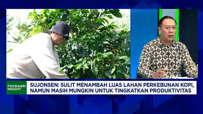 Tantangan Indonesia Meningkatkan Ekspor dan Kesejahteraan Petani Kopi