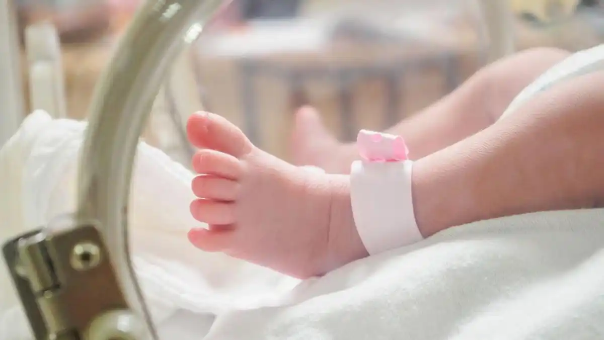Bayi Alena Meninggal Setelah Dirawat Intensif, Dugaan Pemberian Telur Mentah Jadi Sorotan