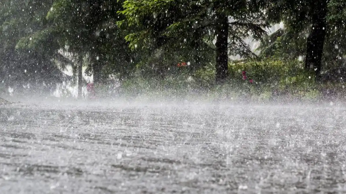 Banjir Melanda Langkat dan Binjai Setelah Hujan Deras Disertai Angin Kencang