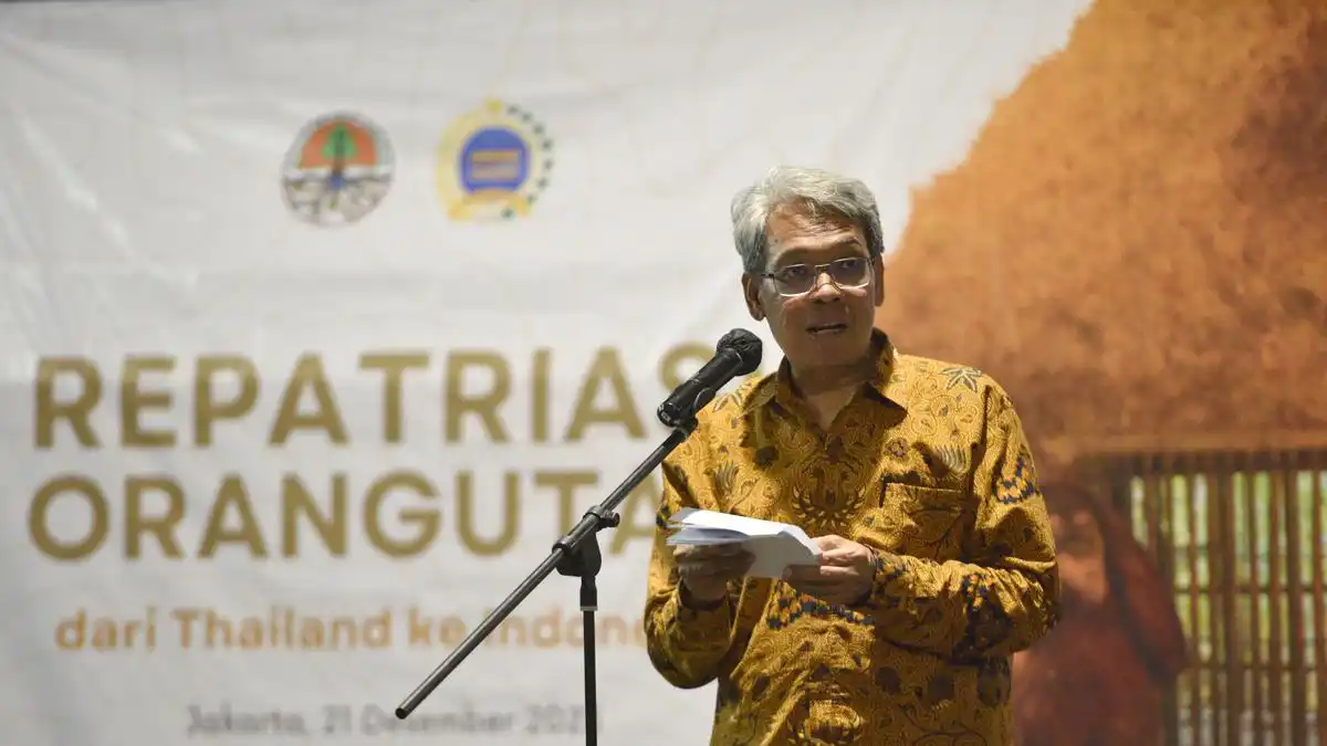 Satyawan Pudyatmoko Disiapkan Memimpin Badan Pengelolaan Gambut dan Mangrove Nasional
