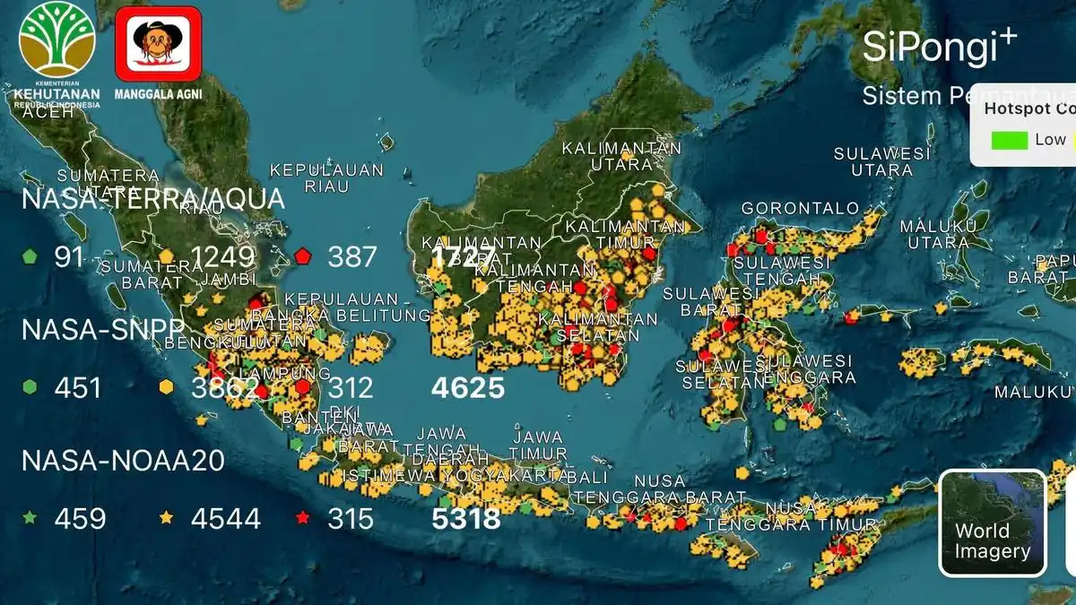 Karhutla Kalteng-Sumsel Meluas hingga 343,55 Hektare, Asap Tekan Jarak Pandang