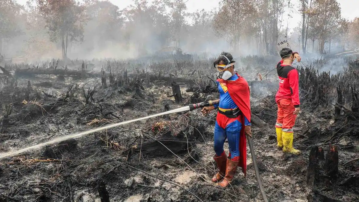 Pemerintah Kerahkan Seluruh Unsur Tangani Karhutla, Puluhan Orang Jadi Tersangka