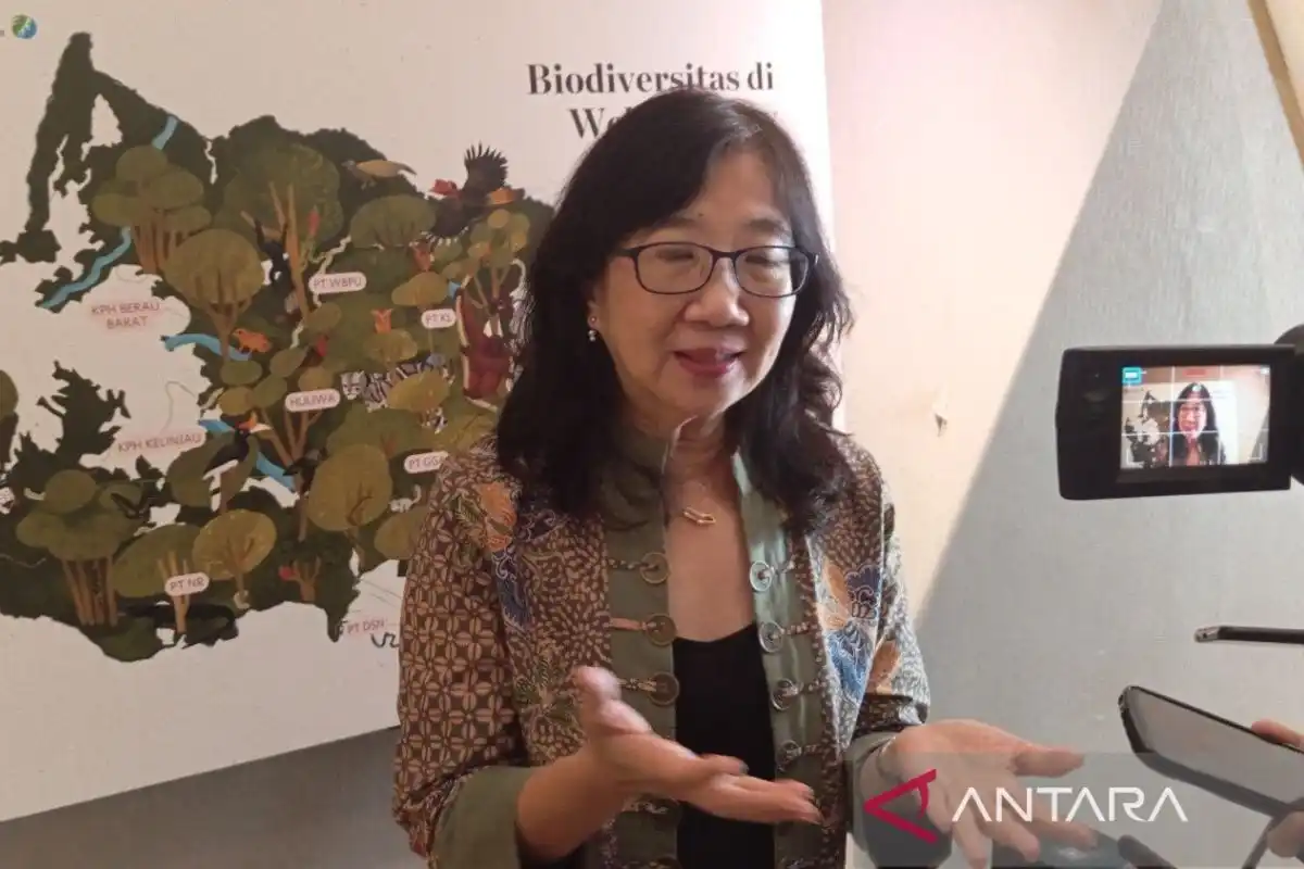 Wehea-Kelay Menjadi Model Pengembangan Usaha Hutan Berkelanjutan di Kalimantan Timur
