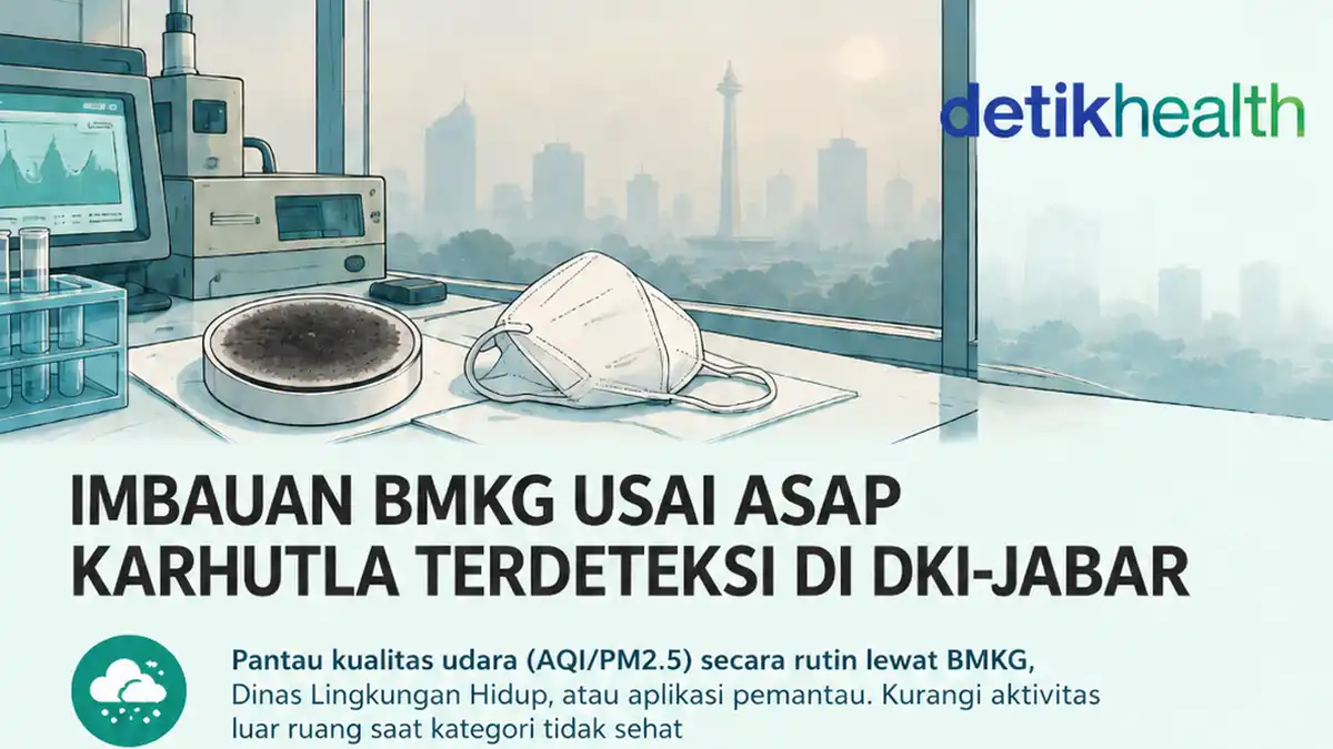 Asap Karhutla Terdeteksi di DKI dan Jabar, BMKG Minta Warga Waspadai Kualitas Udara