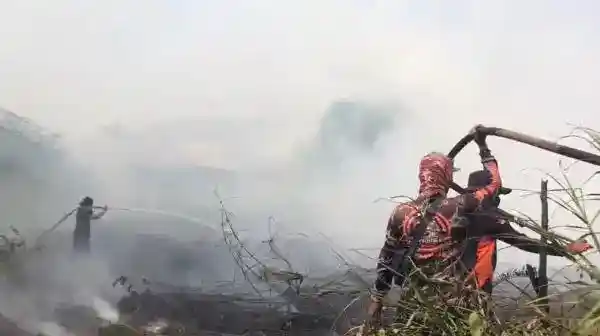 Api Karhutla di Sampit Menyala Lagi, Pemadaman Terkendala Lalu Lintas