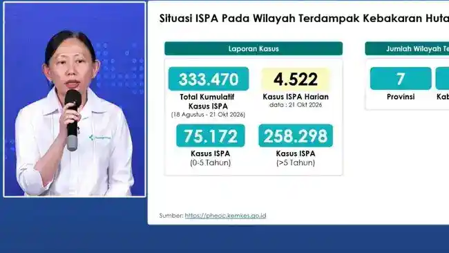 Kabut Karhutla Mengancam Kesehatan: ISPA di Wilayah Terdampak Tembus 333 Ribu Kasus