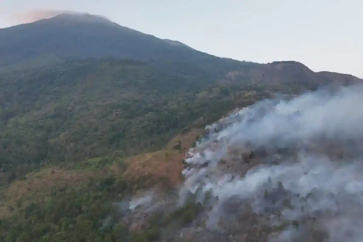 Dedi Mulyadi Pimpin Penanganan Kebakaran di Gunung Ciremai, Warga Diingatkan Tak Membakar Ilalang