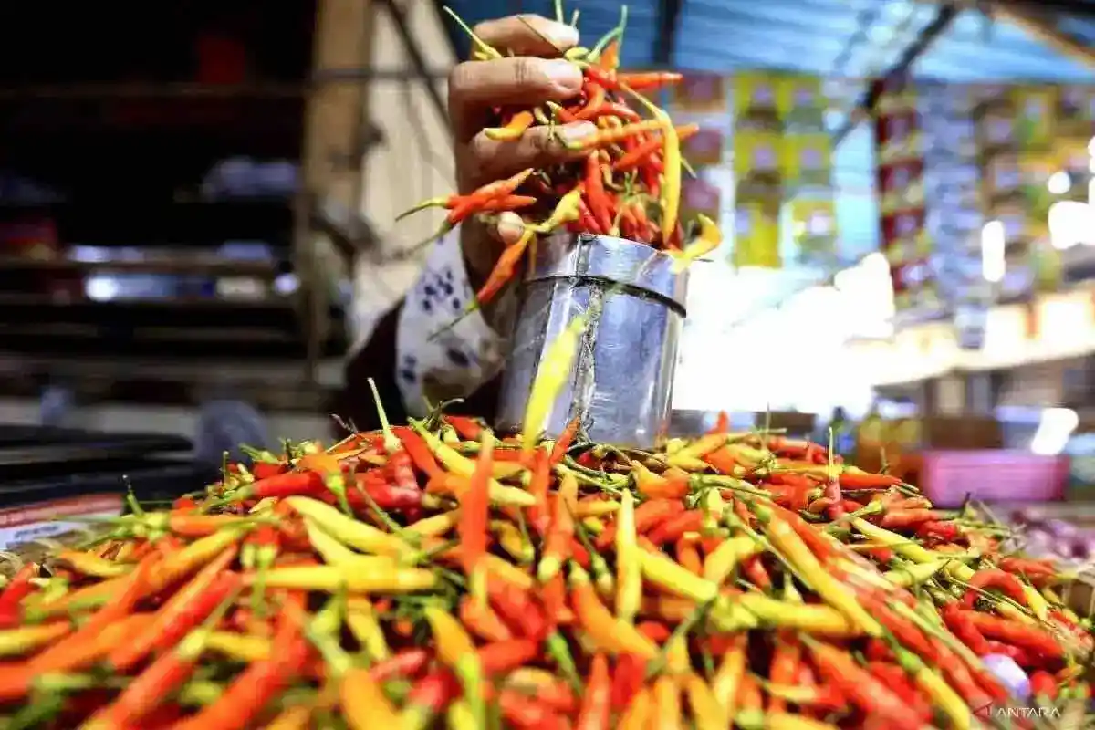 Catatan Harga Pangan Nasional: Cabai Rawit Merah Rp105.750 per Kilogram
