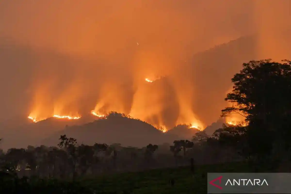 BNPB Tambah Dukungan Udara untuk Atasi Karhutla di Jawa Timur
