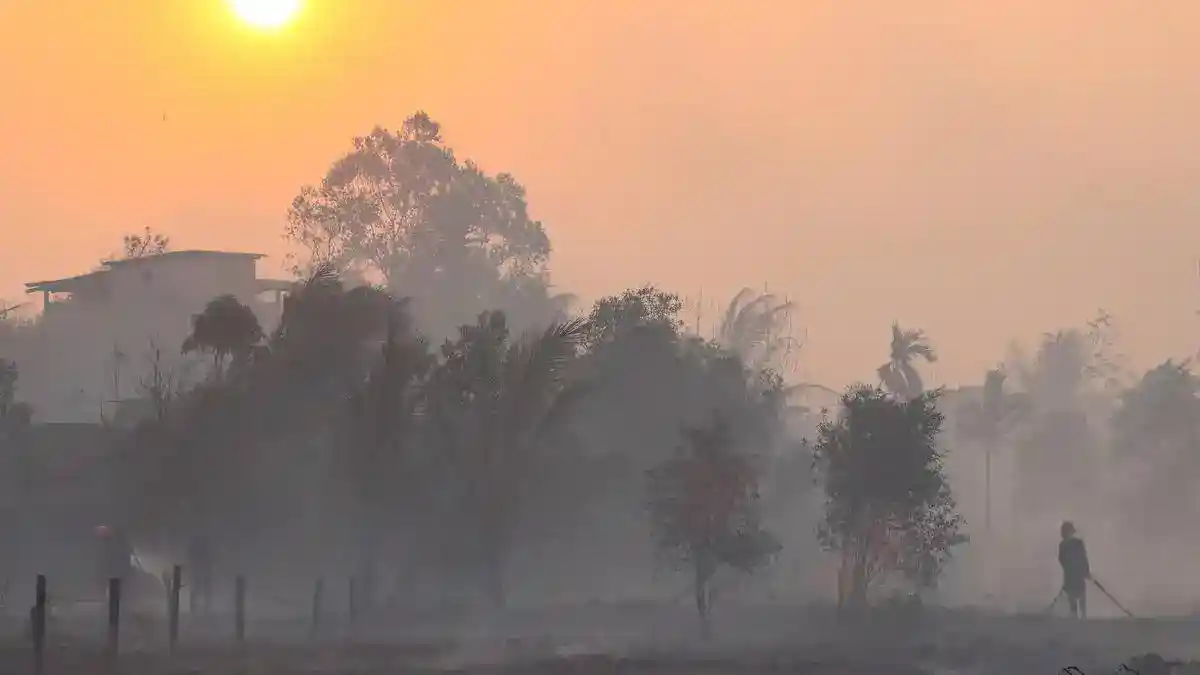 Kabut Asap Karhutla dan Wafatnya Balita di Musi Banyuasin