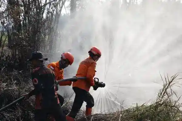 Daniel Johan Dorong Aturan Kehutanan Tegas terhadap Pelaku Karhutla