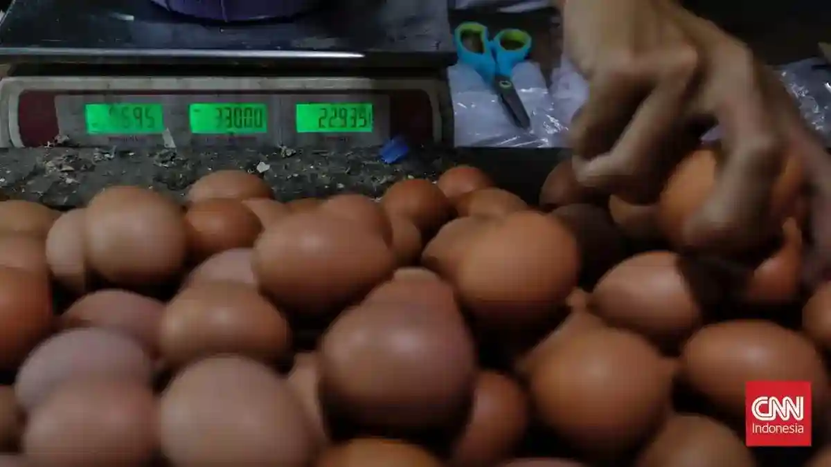 Harga Telur Tak Sejalan, Pemerintah Siapkan Penyerapan dan Pengolahan