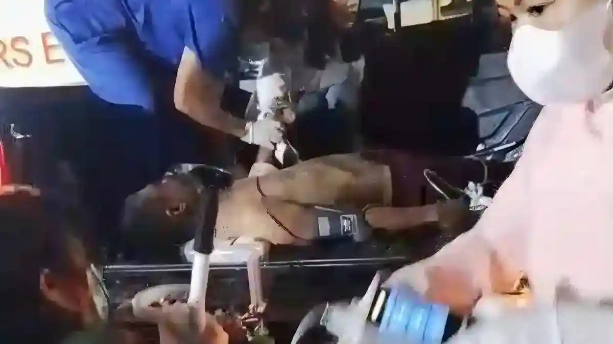 Petugas Kehutanan Tewas Tertimpa Pohon saat Tangani Kebakaran di Toraja Utara